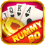 rummy game development icon